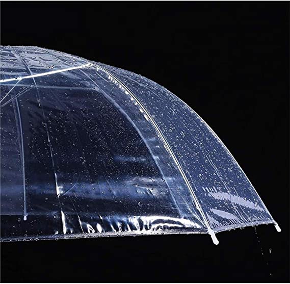 مظلة المطر الشفافة